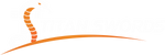 Titan Swords