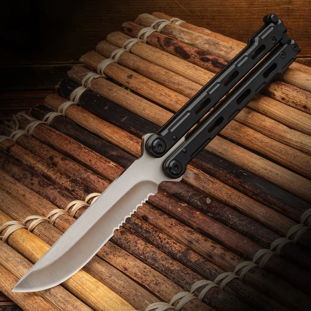 BlackWing Precision Butterfly Knife - 440C Stainless Steel Blade, Black Stainless Steel Handle with Pocket Clip and Nylon Pouch
