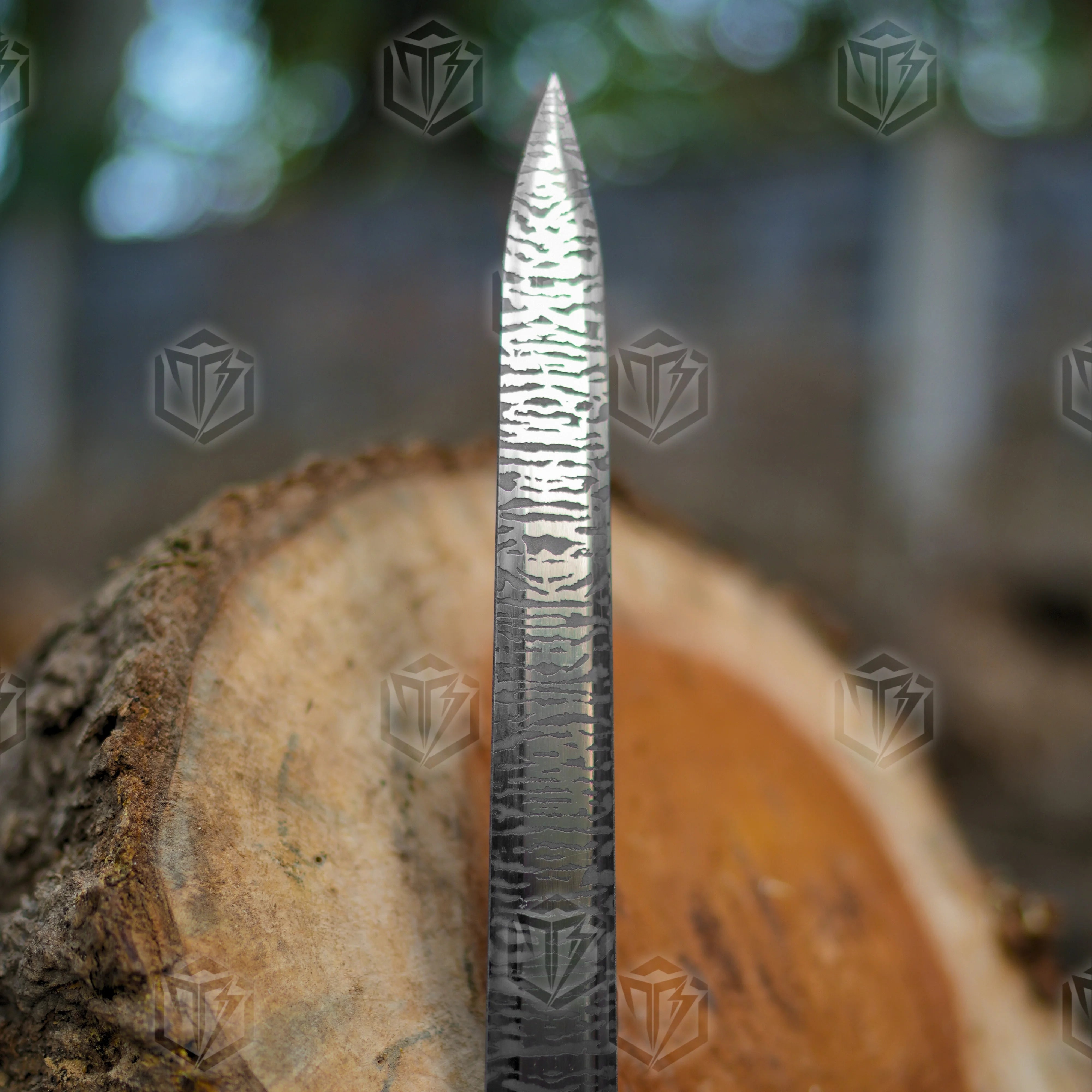 Premium Dark Sister Daemon Targaryen Sword Replica with Valyrian engravings.