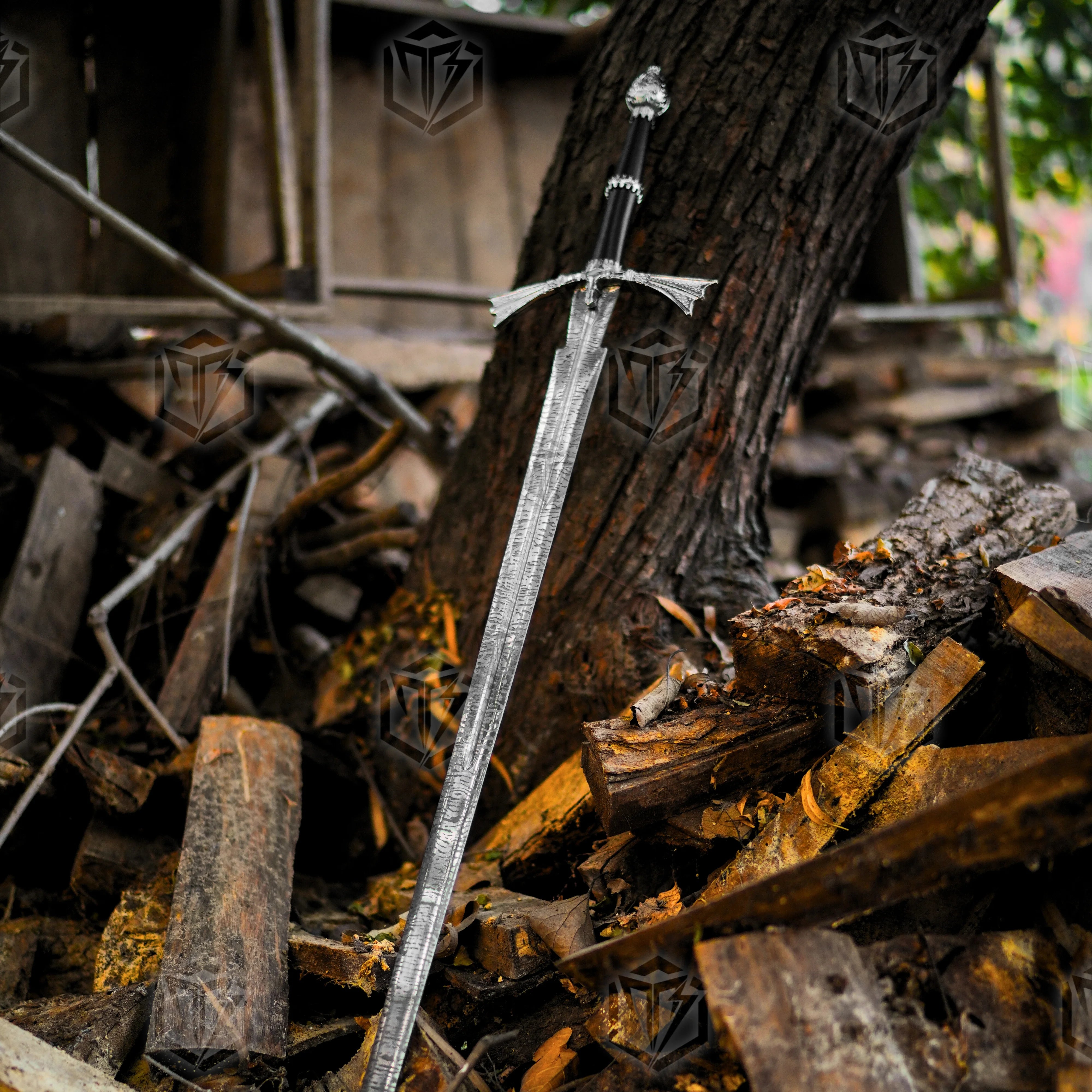 Premium Dark Sister Daemon Targaryen Sword Replica with Valyrian engravings.