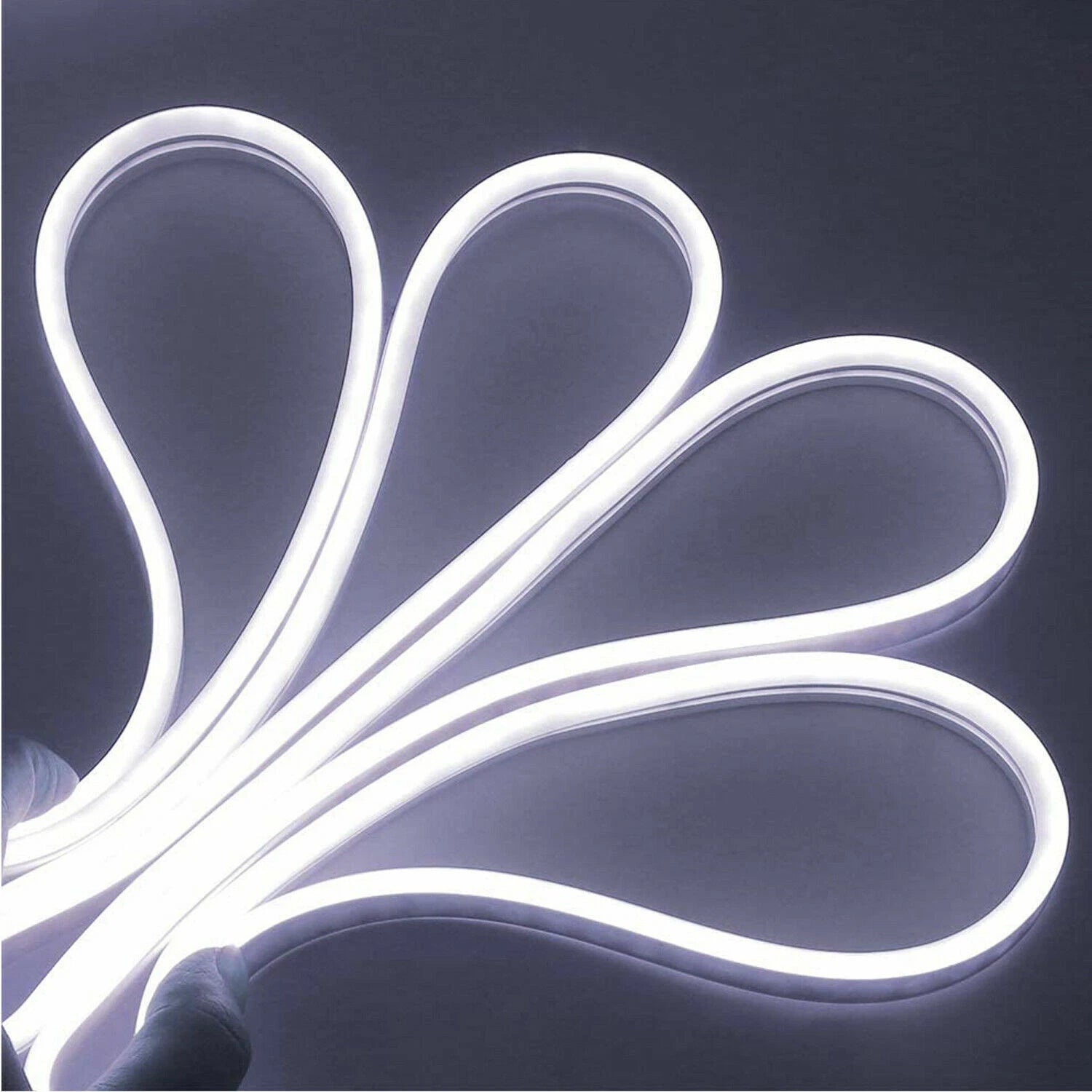 Flexible Neon LED Strip Lights, Silicone Tube Waterproof 12V Sign Light 1M 2M 3M 5M Titan Swords