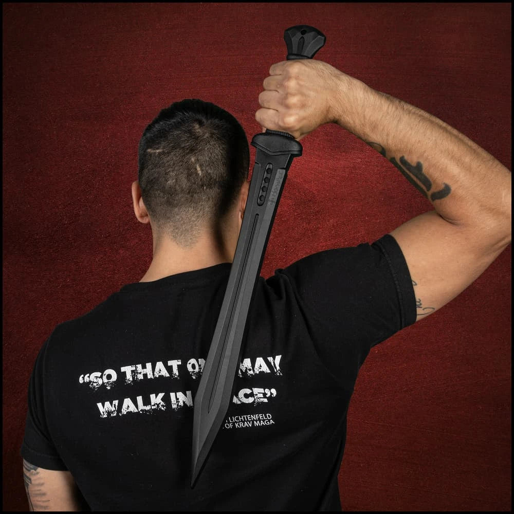 Honshu Arena Combatant Duo black dagger closeup – fan-inspired decorative display set